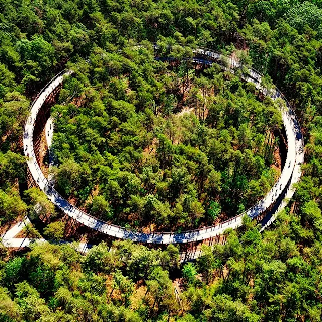 It’s Not Fitness. It’s Life. fast company