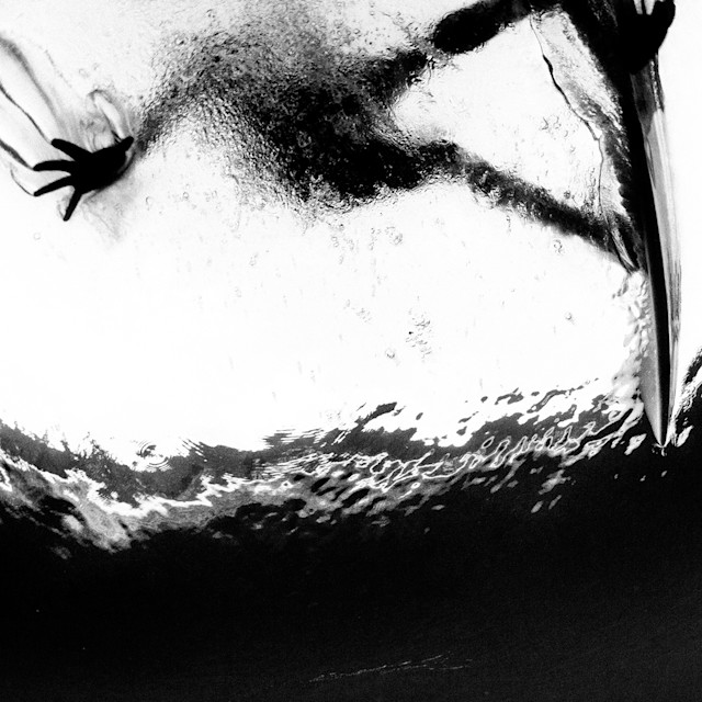 Unrivaled Group Fitness classes. Unparalleled Personal Training. Studios that inspire you to perform and luxury amenities that keep you feeling your best.