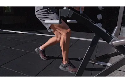 EQXM_EDT_POWER_SLED_23_471_back