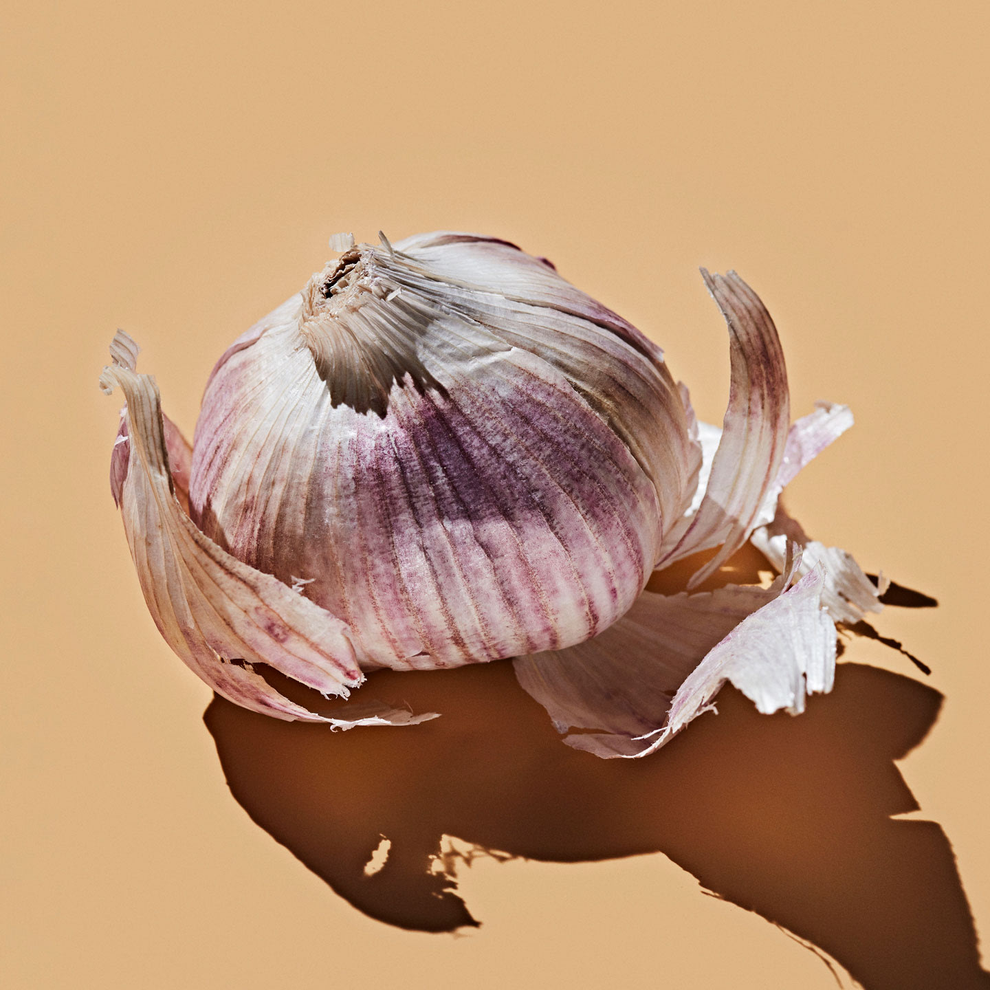 garlic-desktop