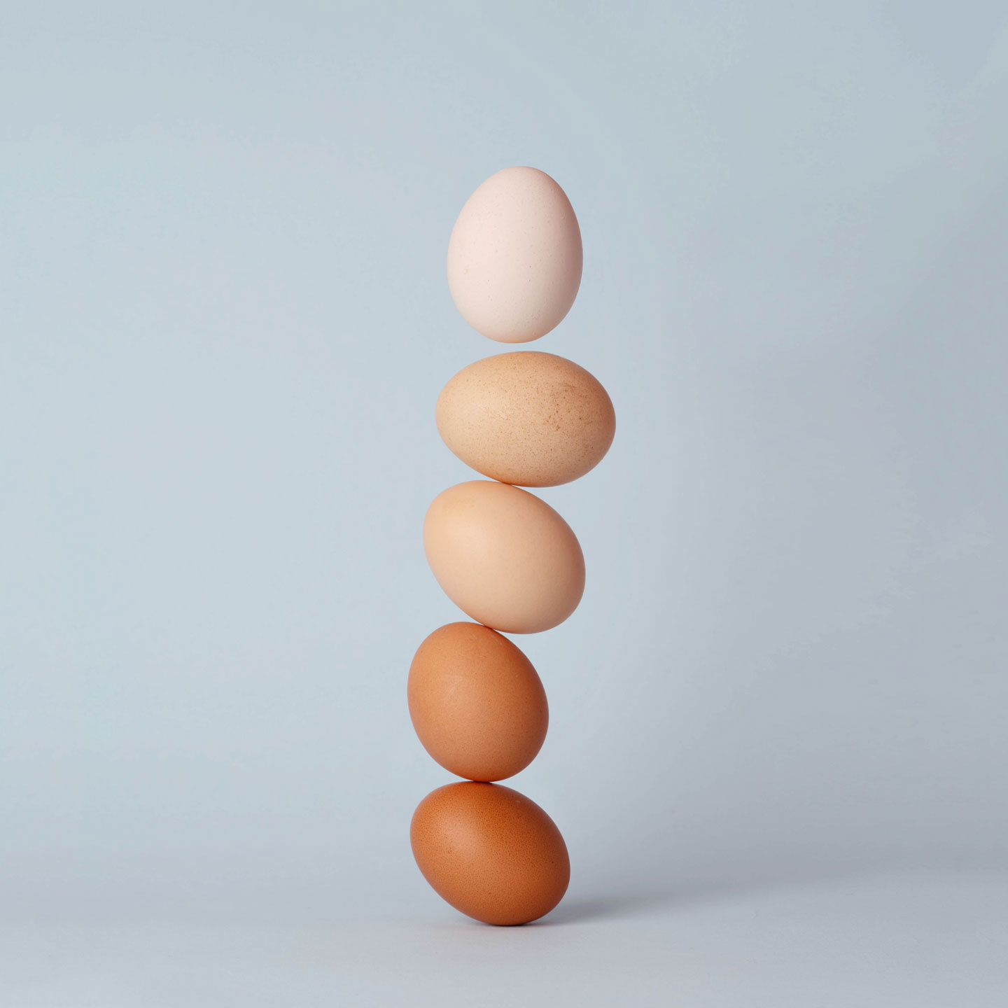 eggs-desktop