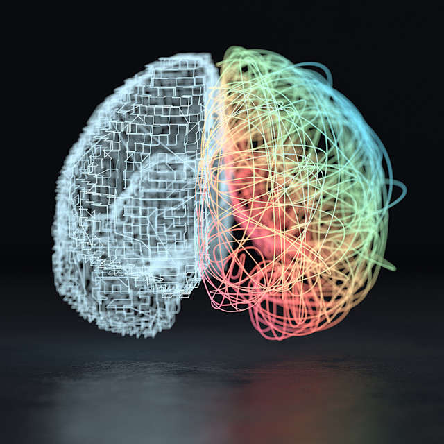 It’s Not Fitness. It’s Life. Unrivaled Group Fitness classes. Unparalleled Personal Training. Studios that inspire you to perform and luxury amenities that keep you feeling your best.