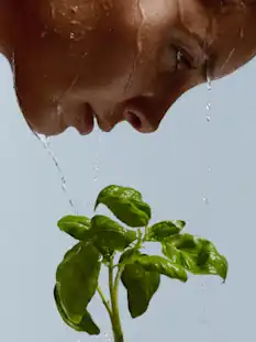 Basil Face _Mobile_RF