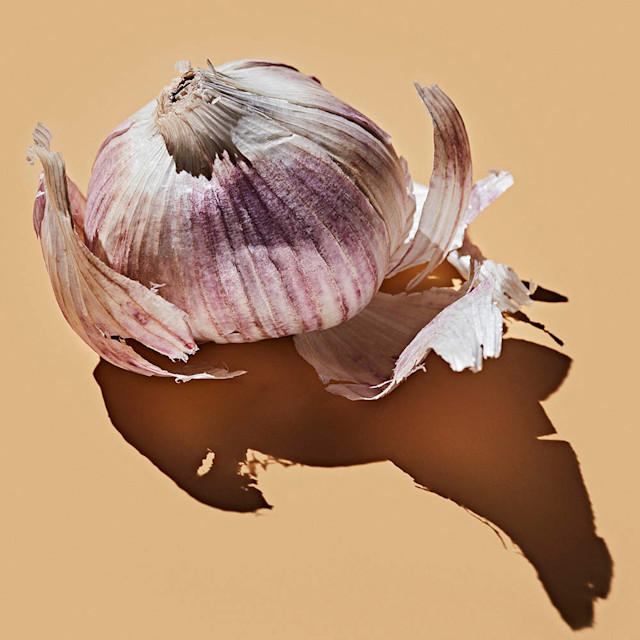 It’s Not Fitness. It’s Life. Unrivaled Group Fitness classes. Unparalleled Personal Training. Studios that inspire you to perform and luxury amenities that keep you feeling your best.