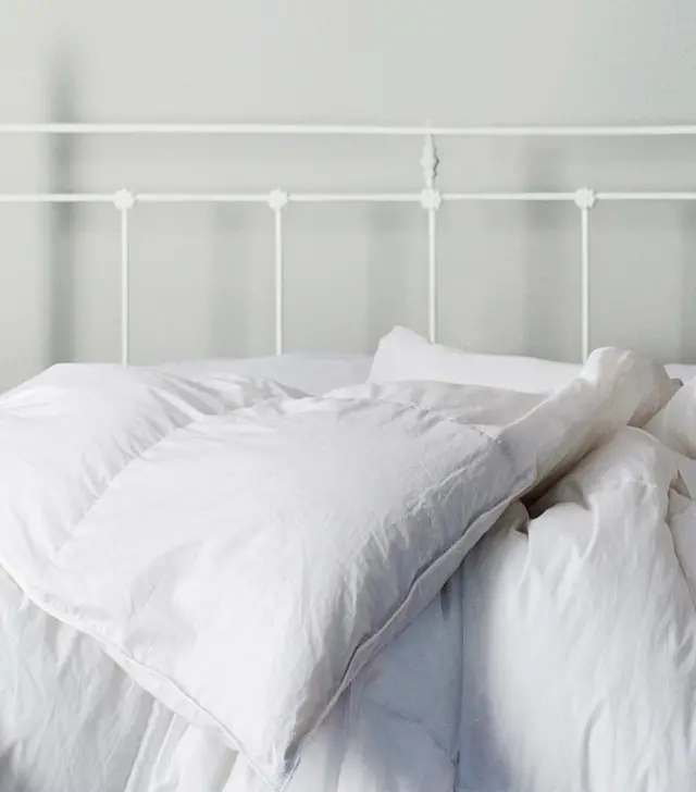 Equinox Hotels Duvet Insert image