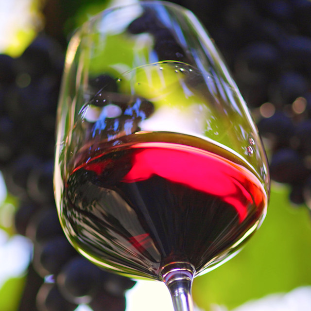 It’s Not Fitness. It’s Life. Unrivaled Group Fitness classes. Unparalleled Personal Training. Studios that inspire you to perform and luxury amenities that keep you feeling your best.