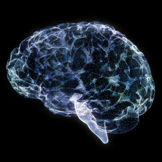 It’s Not Fitness. It’s Life. Unrivaled Group Fitness classes. Unparalleled Personal Training. Studios that inspire you to perform and luxury amenities that keep you feeling your best.