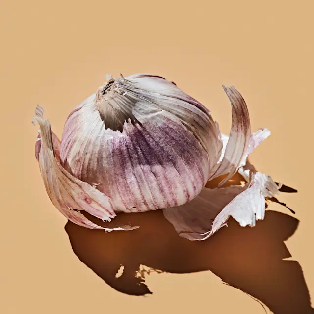 It’s Not Fitness. It’s Life. garlic-desktop