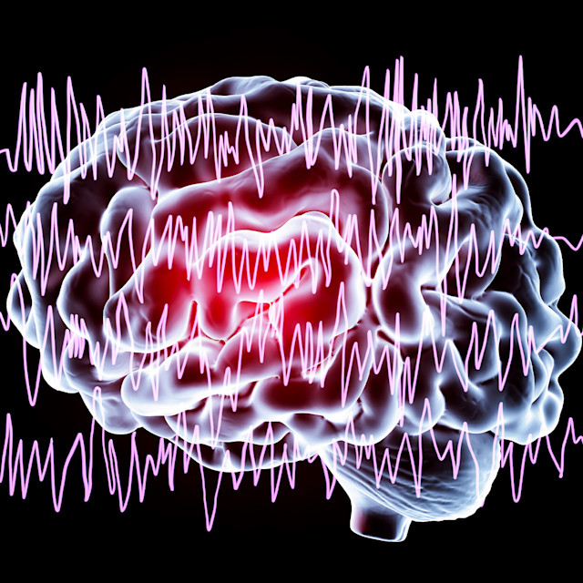 Unrivaled Group Fitness classes. Unparalleled Personal Training. Studios that inspire you to perform and luxury amenities that keep you feeling your best.