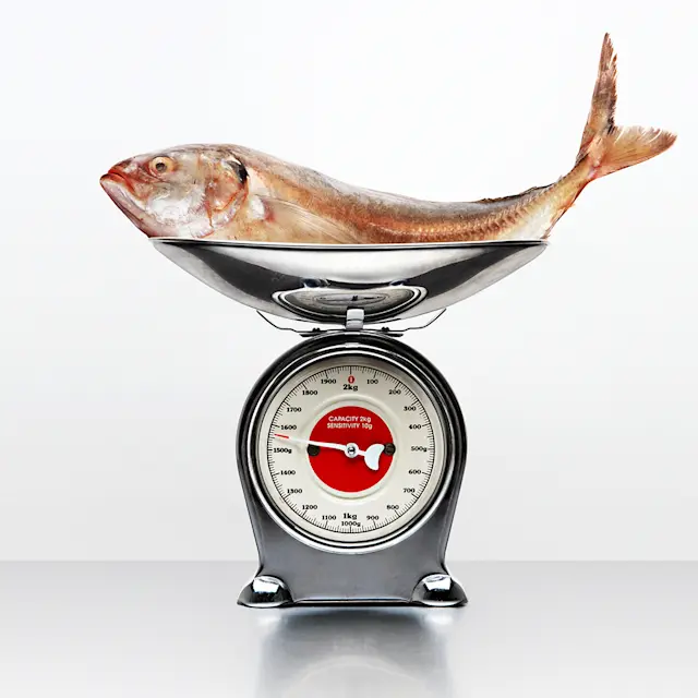 It’s Not Fitness. It’s Life. Unrivaled Group Fitness classes. Unparalleled Personal Training. Studios that inspire you to perform and luxury amenities that keep you feeling your best.