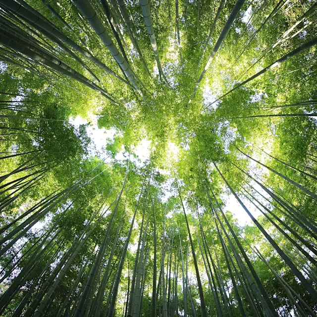 It’s Not Fitness. It’s Life. Unrivaled Group Fitness classes. Unparalleled Personal Training. Studios that inspire you to perform and luxury amenities that keep you feeling your best.