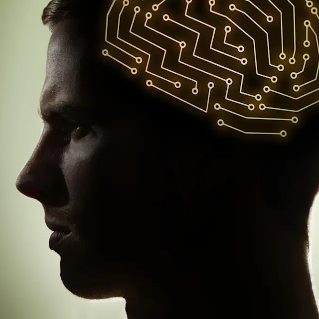 It’s Not Fitness. It’s Life. Unrivaled Group Fitness classes. Unparalleled Personal Training. Studios that inspire you to perform and luxury amenities that keep you feeling your best.