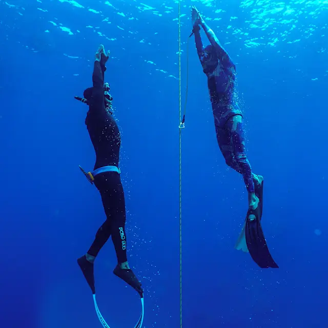 It’s Not Fitness. It’s Life. Unrivaled Group Fitness classes. Unparalleled Personal Training. Studios that inspire you to perform and luxury amenities that keep you feeling your best.