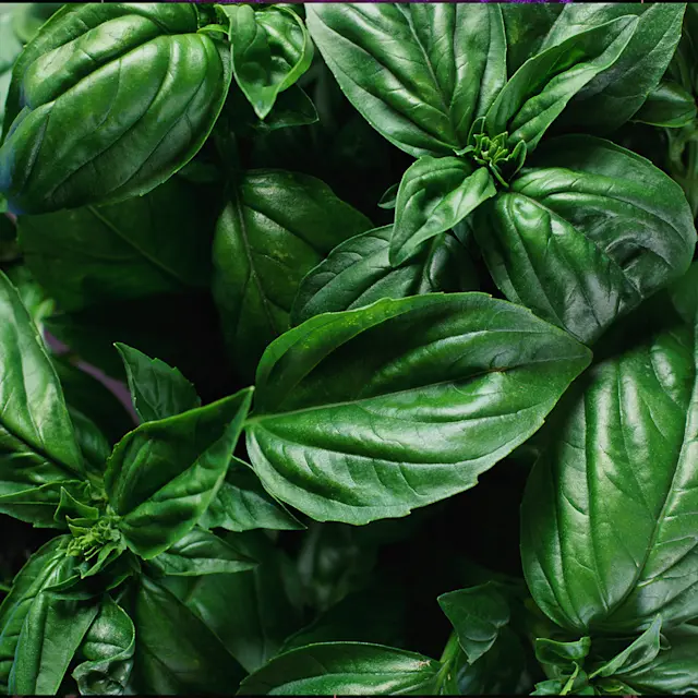 It’s Not Fitness. It’s Life. Unrivaled Group Fitness classes. Unparalleled Personal Training. Studios that inspire you to perform and luxury amenities that keep you feeling your best.