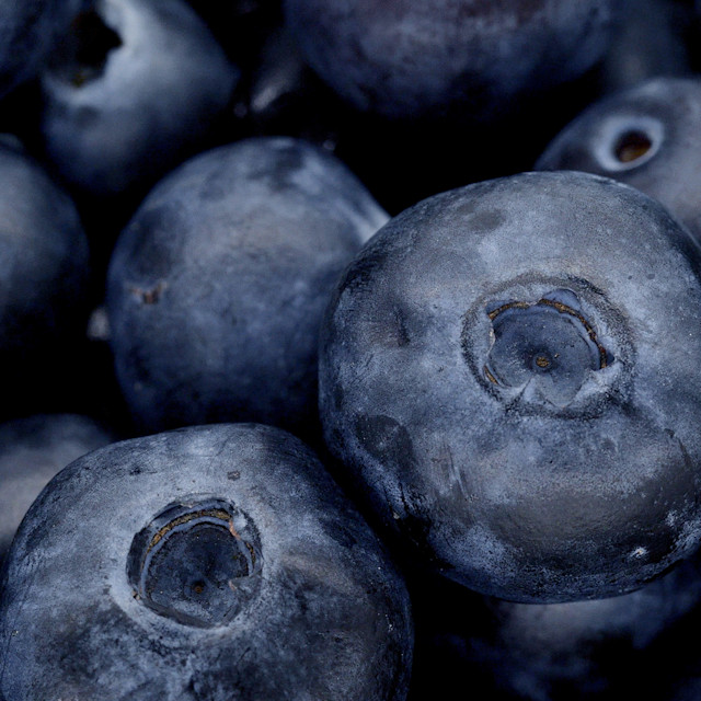 It’s Not Fitness. It’s Life. Unrivaled Group Fitness classes. Unparalleled Personal Training. Studios that inspire you to perform and luxury amenities that keep you feeling your best.