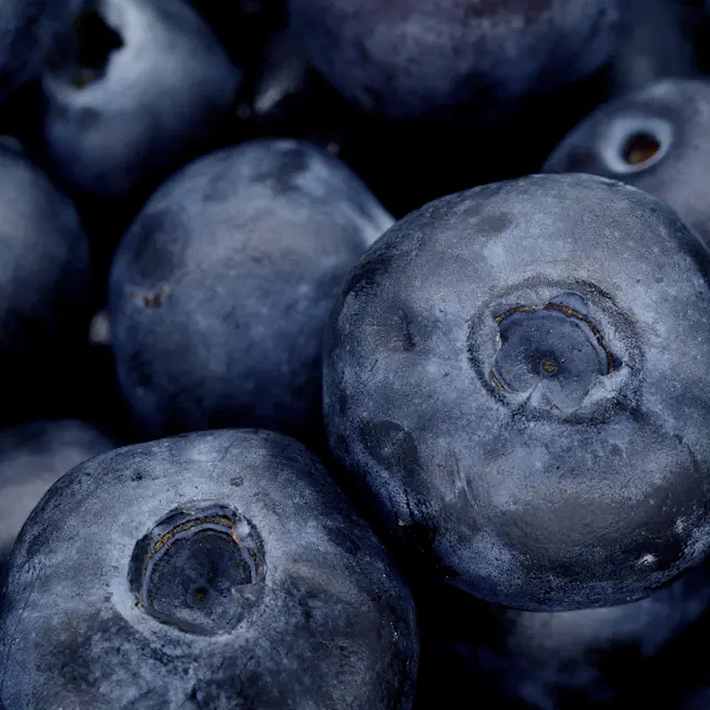 It’s Not Fitness. It’s Life. Unrivaled Group Fitness classes. Unparalleled Personal Training. Studios that inspire you to perform and luxury amenities that keep you feeling your best.