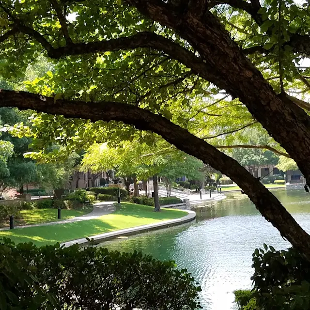 It’s Not Fitness. It’s Life. Unrivaled Group Fitness classes. Unparalleled Personal Training. Studios that inspire you to perform and luxury amenities that keep you feeling your best.