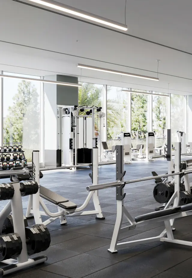 Unrivaled Group Fitness classes. Unparalleled Personal Training. Studios that inspire you to perform and luxury amenities that keep you feeling your best.