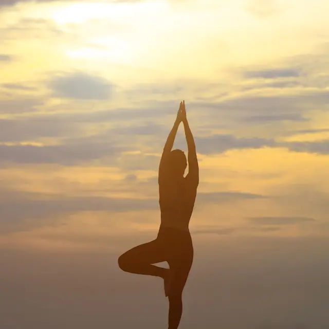 Unrivaled Group Fitness classes. Unparalleled Personal Training. Studios that inspire you to perform and luxury amenities that keep you feeling your best.