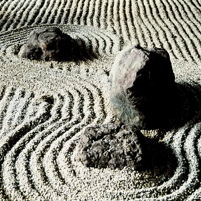 It’s Not Fitness. It’s Life. Unrivaled Group Fitness classes. Unparalleled Personal Training. Studios that inspire you to perform and luxury amenities that keep you feeling your best.