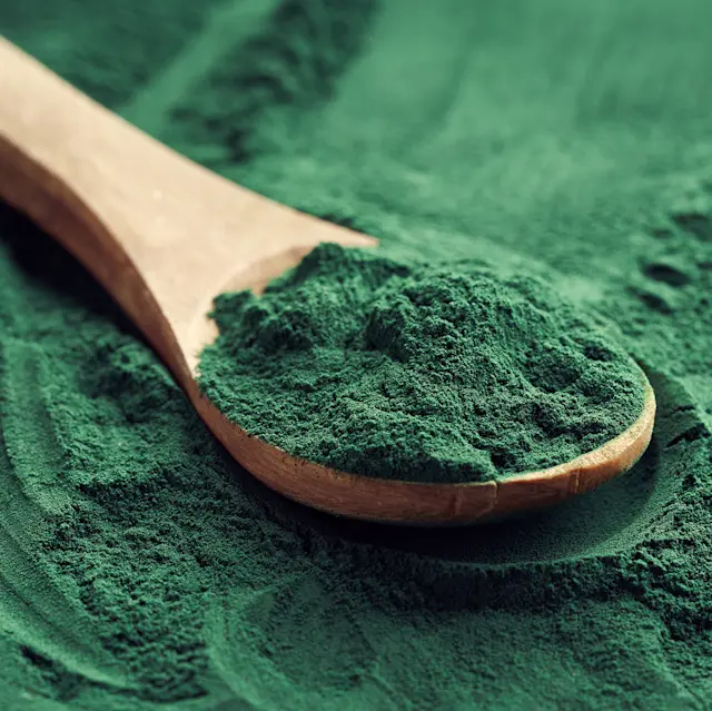greenpowder-web0830