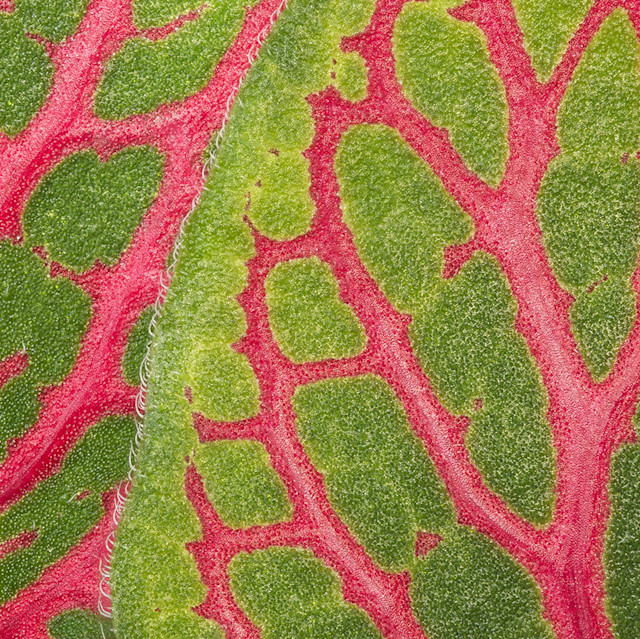 It’s Not Fitness. It’s Life. article5-web-min