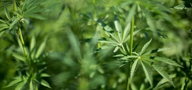 It’s Not Fitness. It’s Life. Unrivaled Group Fitness classes. Unparalleled Personal Training. Studios that inspire you to perform and luxury amenities that keep you feeling your best.