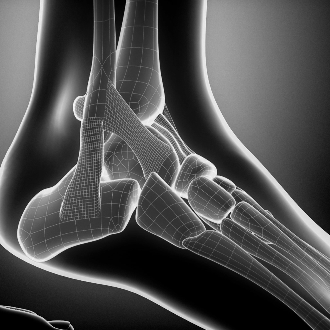 Equinox | Why You Need Strong Ankles