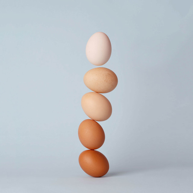 It’s Not Fitness. It’s Life. eggs-desktop