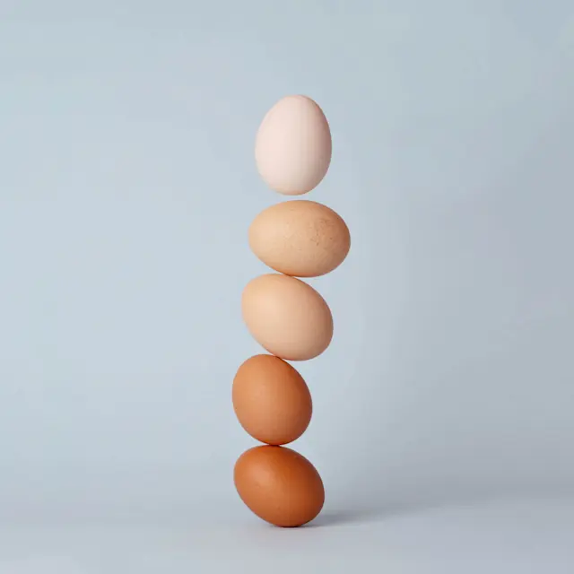 It’s Not Fitness. It’s Life. eggs-desktop