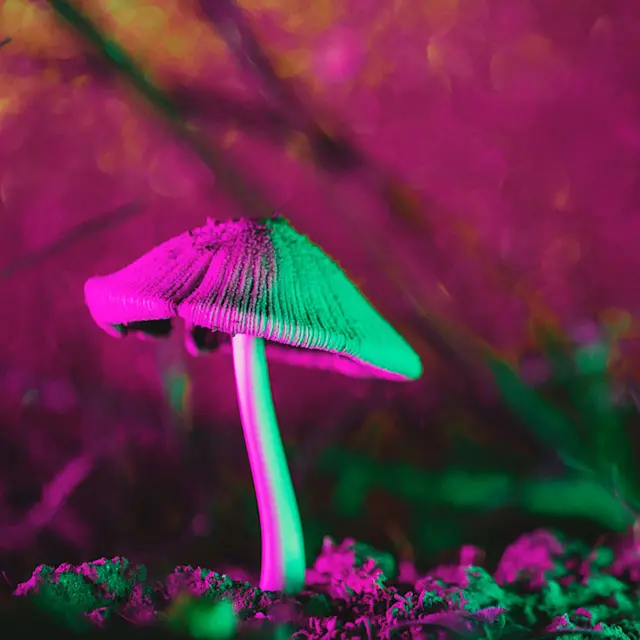 It’s Not Fitness. It’s Life. Unrivaled Group Fitness classes. Unparalleled Personal Training. Studios that inspire you to perform and luxury amenities that keep you feeling your best.