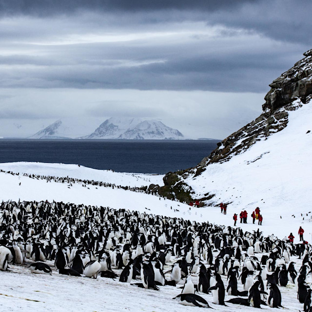 It’s Not Fitness. It’s Life. thrillist