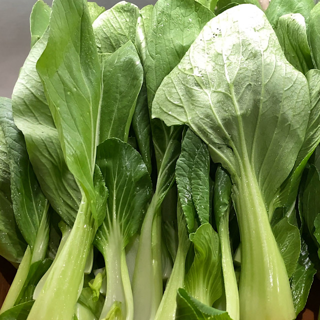 It’s Not Fitness. It’s Life. Unrivaled Group Fitness classes. Unparalleled Personal Training. Studios that inspire you to perform and luxury amenities that keep you feeling your best.