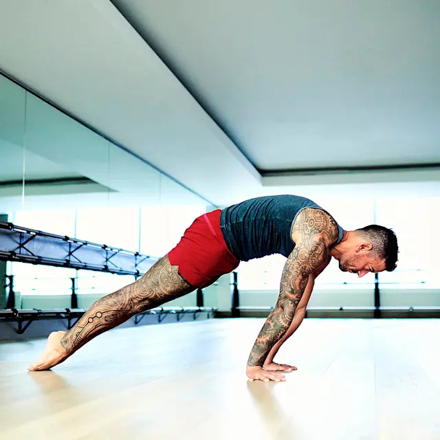 It’s Not Fitness. It’s Life. planche plank hold