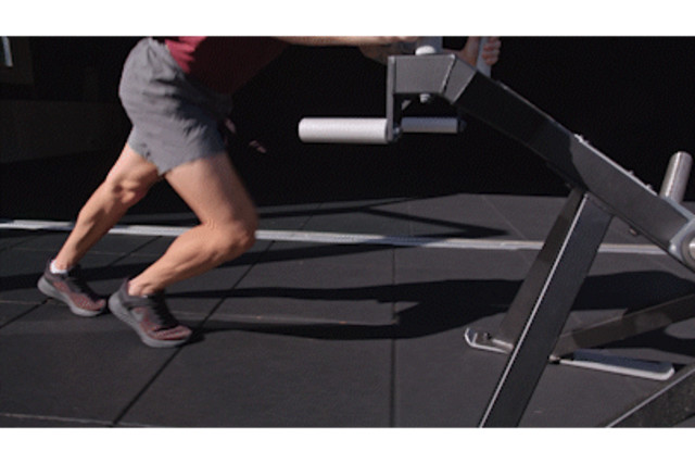 It’s Not Fitness. It’s Life. EQXM_EDT_POWER_SLED_23_471_forward