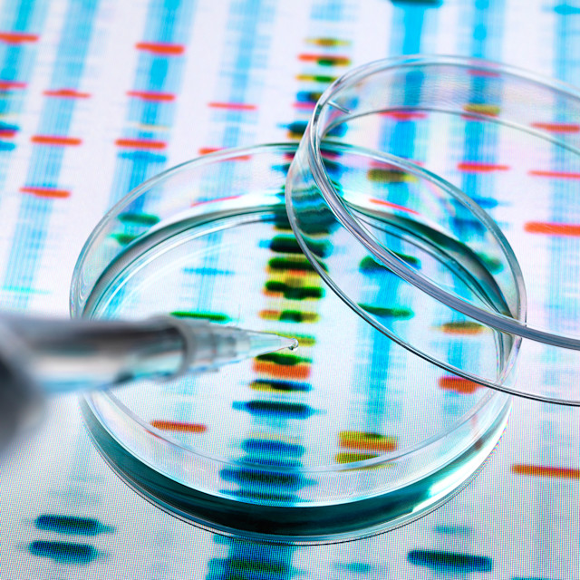 It’s Not Fitness. It’s Life. Unrivaled Group Fitness classes. Unparalleled Personal Training. Studios that inspire you to perform and luxury amenities that keep you feeling your best.