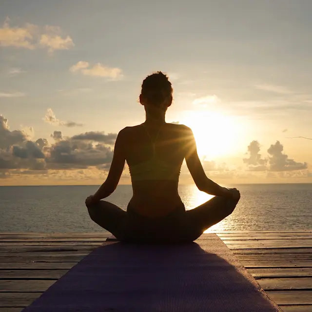 It’s Not Fitness. It’s Life. Unrivaled Group Fitness classes. Unparalleled Personal Training. Studios that inspire you to perform and luxury amenities that keep you feeling your best.