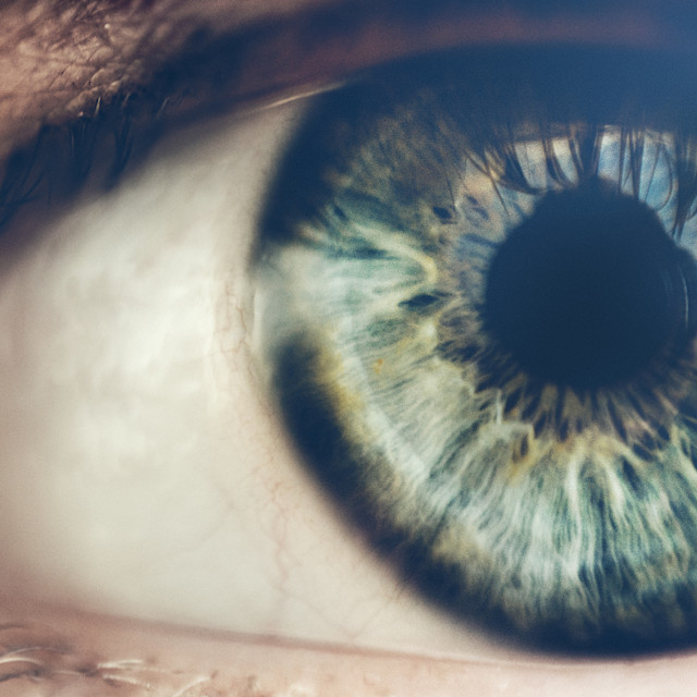 Unrivaled Group Fitness classes. Unparalleled Personal Training. Studios that inspire you to perform and luxury amenities that keep you feeling your best.