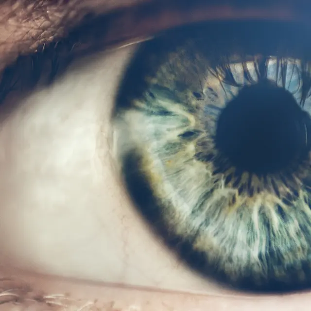 It’s Not Fitness. It’s Life. Unrivaled Group Fitness classes. Unparalleled Personal Training. Studios that inspire you to perform and luxury amenities that keep you feeling your best.