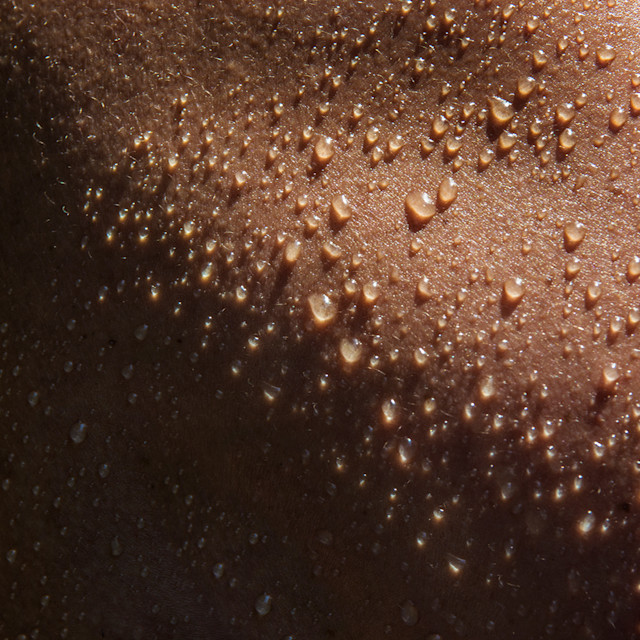 It’s Not Fitness. It’s Life. Unrivaled Group Fitness classes. Unparalleled Personal Training. Studios that inspire you to perform and luxury amenities that keep you feeling your best.