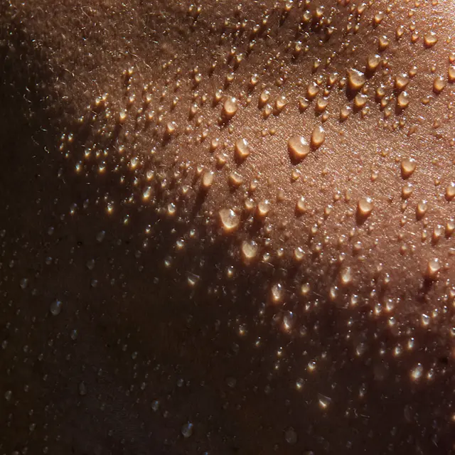 It’s Not Fitness. It’s Life. Unrivaled Group Fitness classes. Unparalleled Personal Training. Studios that inspire you to perform and luxury amenities that keep you feeling your best.