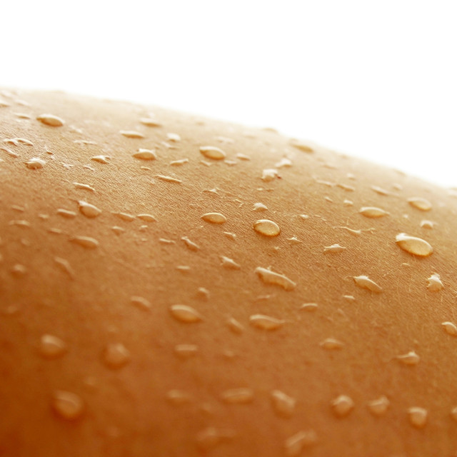 It’s Not Fitness. It’s Life. Unrivaled Group Fitness classes. Unparalleled Personal Training. Studios that inspire you to perform and luxury amenities that keep you feeling your best.