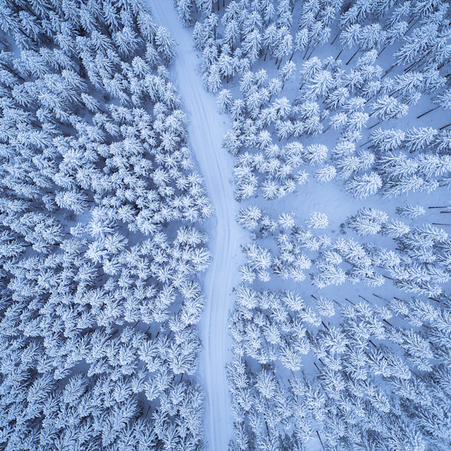 Unrivaled Group Fitness classes. Unparalleled Personal Training. Studios that inspire you to perform and luxury amenities that keep you feeling your best.