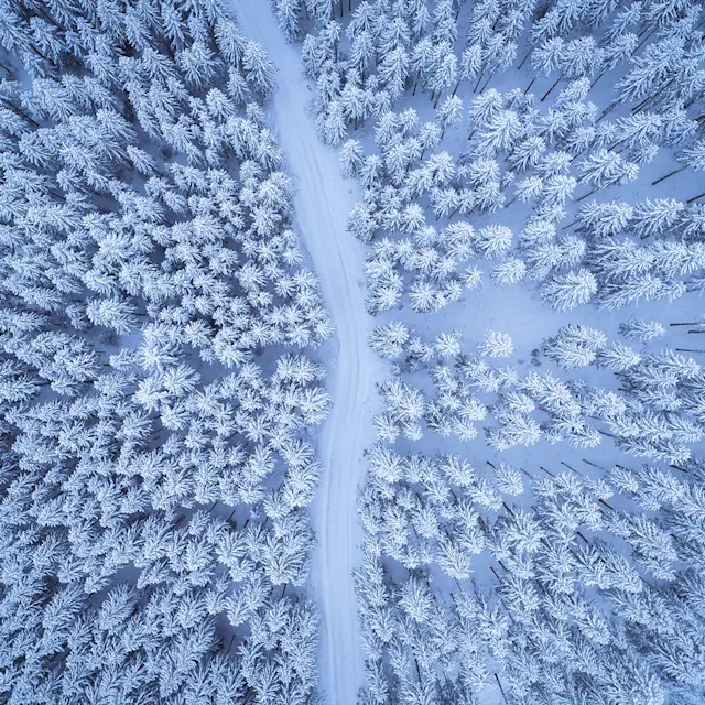 It’s Not Fitness. It’s Life. Unrivaled Group Fitness classes. Unparalleled Personal Training. Studios that inspire you to perform and luxury amenities that keep you feeling your best.