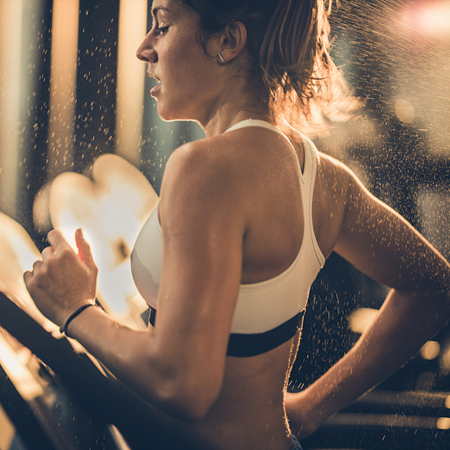 Unrivaled Group Fitness classes. Unparalleled Personal Training. Studios that inspire you to perform and luxury amenities that keep you feeling your best.