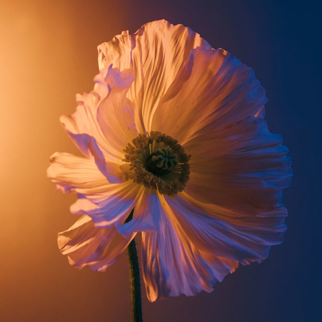 It’s Not Fitness. It’s Life. present