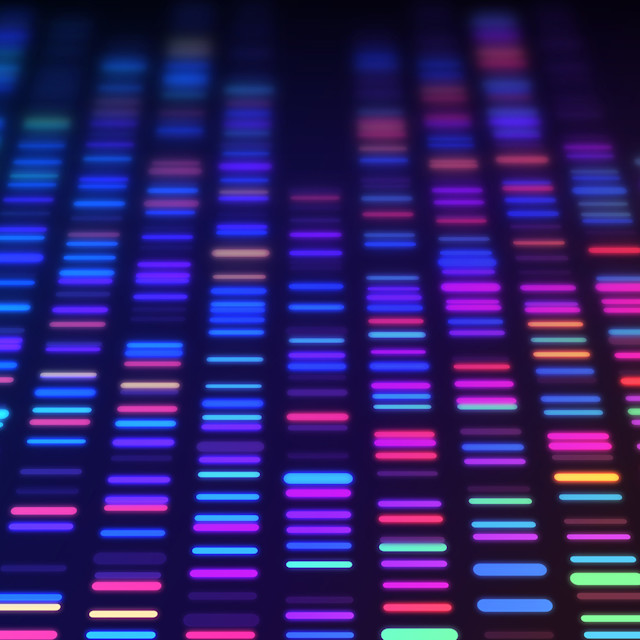 It’s Not Fitness. It’s Life. Unrivaled Group Fitness classes. Unparalleled Personal Training. Studios that inspire you to perform and luxury amenities that keep you feeling your best.