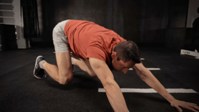 It’s Not Fitness. It’s Life. EQXM_EDT_EMBRACE_YOUR_INNER_ANIMAL_25_683_gif_2