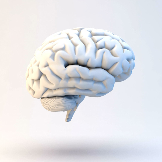 Unrivaled Group Fitness classes. Unparalleled Personal Training. Studios that inspire you to perform and luxury amenities that keep you feeling your best.