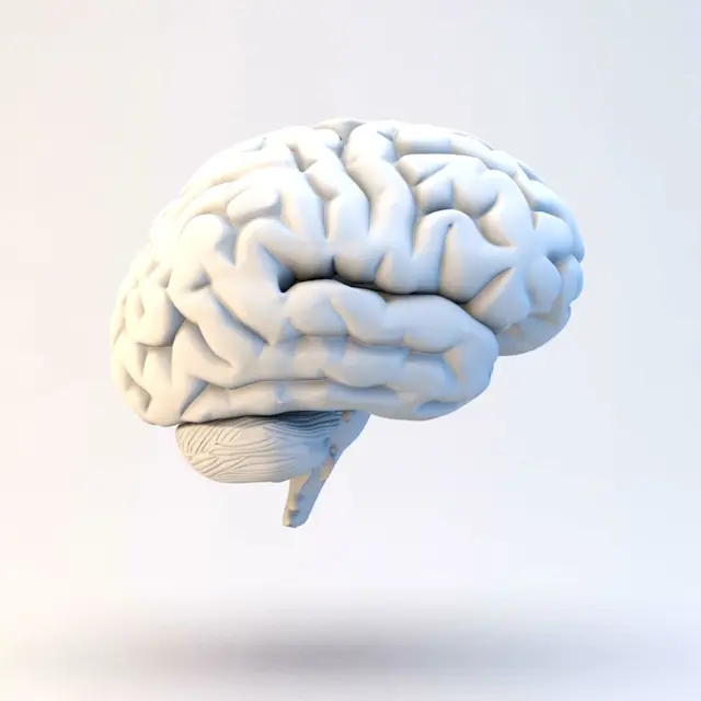 It’s Not Fitness. It’s Life. Unrivaled Group Fitness classes. Unparalleled Personal Training. Studios that inspire you to perform and luxury amenities that keep you feeling your best.